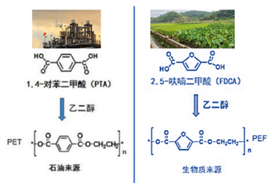 PEF是什麼生物基材料？你不了解一下嗎？